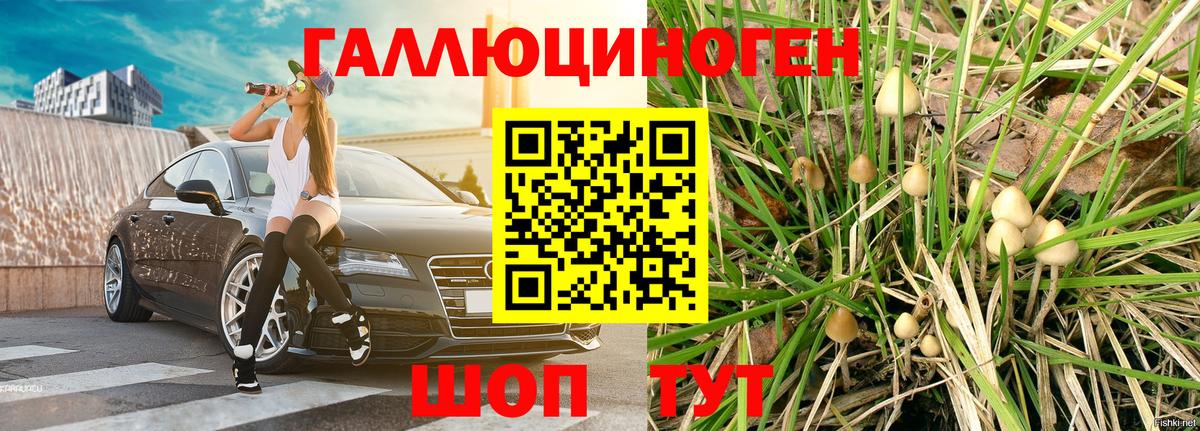 Псилоцибиновые грибы прущие грибы Кыштым