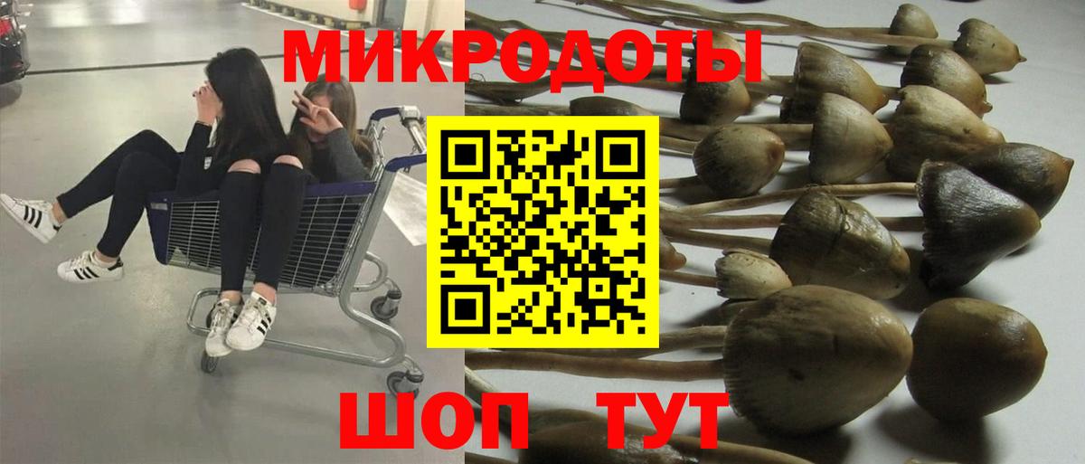 Кыштым  Галлюциногенные грибы MAGIC MUSHROOMS  Галлюциногенные грибы Psilocybe  купить закладку  Вход с VPN 
